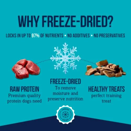 Stewart Freeze Dried Beef Liver Dog Treats 21 oz (595 g) | 100% Pure Protein for Training & Meal Topping thumbnail 3