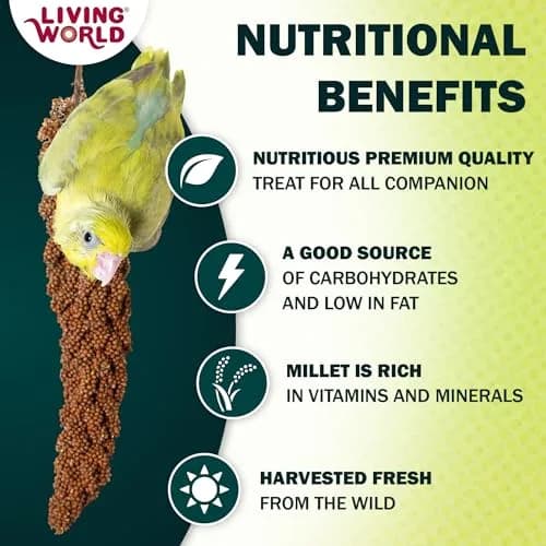 Living World Millet Spray for Birds 99g (3.5 Oz) | Natural, Additive-Free Treat for Parakeets, Finches, Canaries thumbnail 2