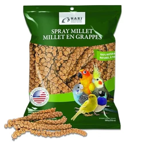 Living World Millet Spray for Birds 17.6 Oz | Natural, Fresh & All-Natural Bird Treat thumbnail 1