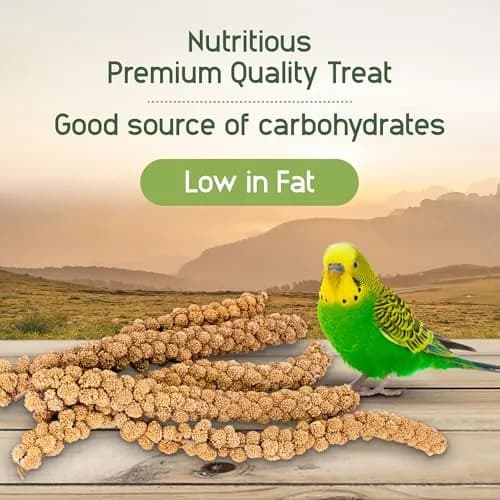 Living World Millet Spray for Birds 17.6 Oz | Natural, Fresh & All-Natural Bird Treat thumbnail 4