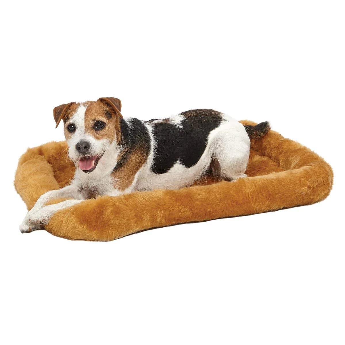 MidWest Homes for Pets QuietTime Bolster Dog Crate Bed 24-inch 61cm x 45cm (2.76 inch Thick) | Cozy Cinnamon Mat for Small Breeds