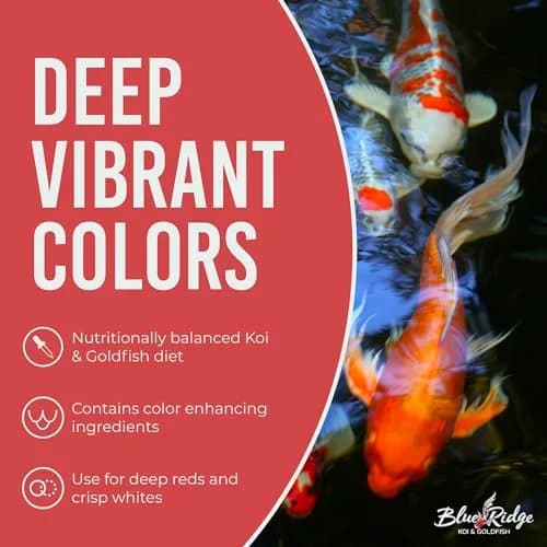 Blue Ridge Koi Fish Food Growth Formula Mini 12.56 kg (25 lb) | 36% Protein for Active Growth thumbnail 5