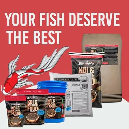 Blue Ridge Koi Fish Food Growth Formula Mini 12.56 kg (25 lb) | 36% Protein for Active Growth thumbnail 8