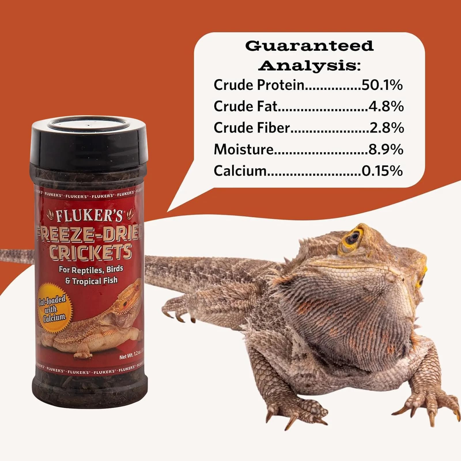 Fluker's Freeze Dried Crickets 1.2 oz (34g) | Nutrient-Rich Protein Snack for Reptiles, Birds, Fish