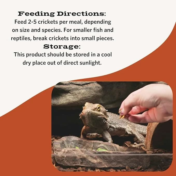 Fluker's Freeze Dried Crickets 1.2 oz (34g) | Nutrient-Rich Protein Snack for Reptiles, Birds, Fish thumbnail 3