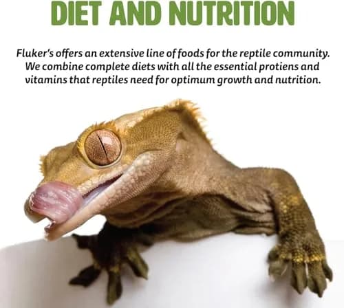 Fluker's Freeze Dried Crickets 1.2 oz (34g) | Nutrient-Rich Protein Snack for Reptiles, Birds, Fish thumbnail 4