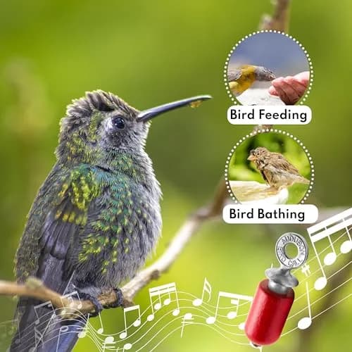 Audubon Red Bird Call | Hand-Tuned Birchwood & Zinc Metal thumbnail 3