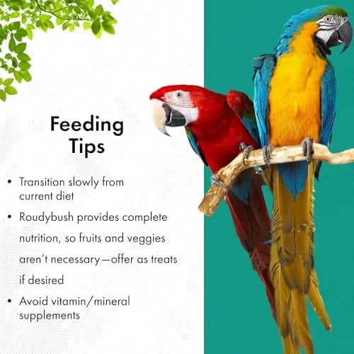 RoudyBush Daily Maintenance Bird Food Small Pellets 12.11 kg (25 lb) | Scientifically Formulated for Birds thumbnail 6