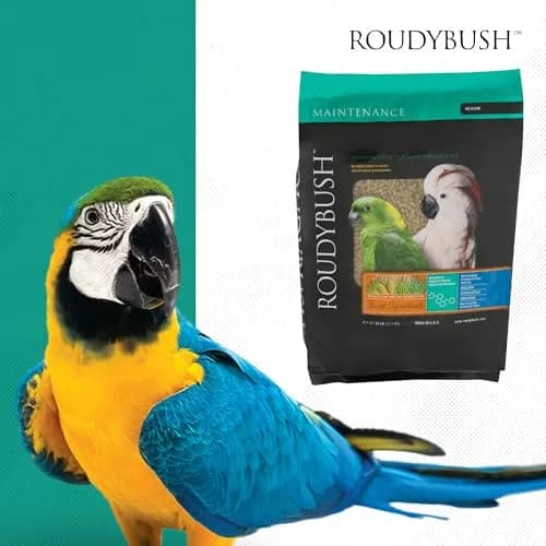 RoudyBush Daily Maintenance Bird Food Medium Pellets 12 kg (25 lb) | Wholesome Nutrition for Parrots, Cockatiels, Conures thumbnail 8