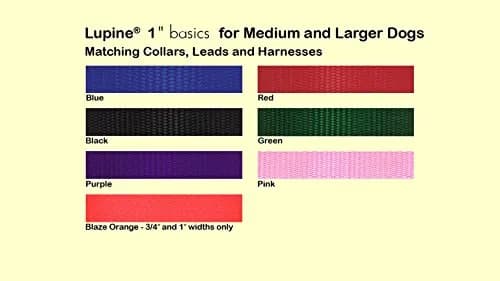LupinePet Basics Black Adjustable Collar for Extra Large Dogs 63.5cm (25") | Guaranteed Even If Chewed thumbnail 2