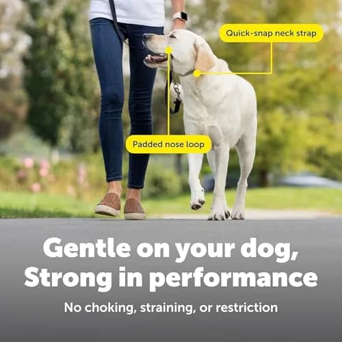 PetSafe Gentle Leader Headcollar No-Pull Dog Collar, Large Red | Helps Improve Walks thumbnail 4