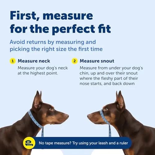 PetSafe Gentle Leader Headcollar No-Pull Dog Collar, Large Red | Helps Improve Walks thumbnail 6