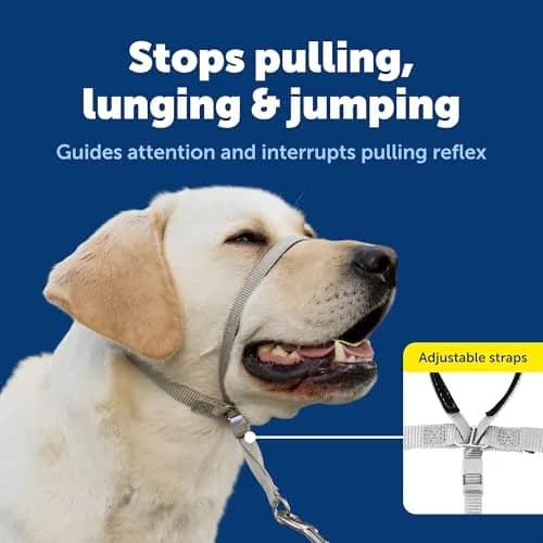 PetSafe Gentle Leader Headcollar No-Pull Dog Collar, Large Red | Helps Improve Walks thumbnail 3