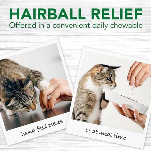 Vet's Best Cat Hairball Relief Digestive Aid Chewable Tablets 60 Count | Vet Formulated for Cats thumbnail 2