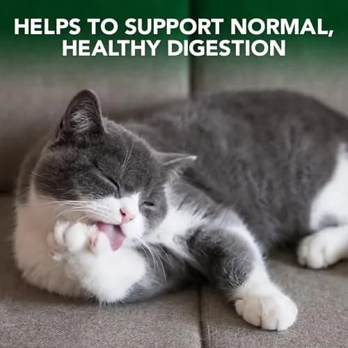 Vet's Best Cat Hairball Relief Digestive Aid Chewable Tablets 60 Count | Vet Formulated for Cats thumbnail 3