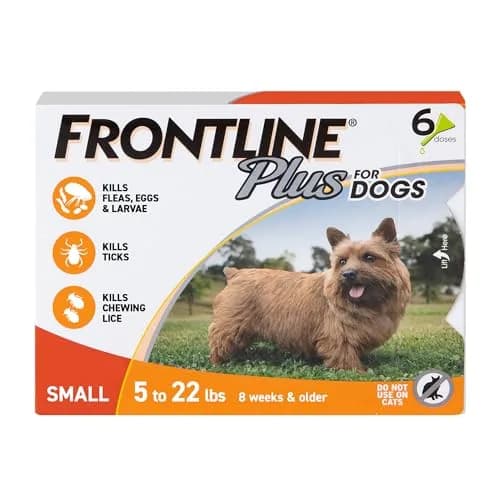 Frontline Flea & Tick Spot Treatment for Small Dogs 5-22 lbs. | Waterproof, Fast-Acting, 6 Doses thumbnail 1