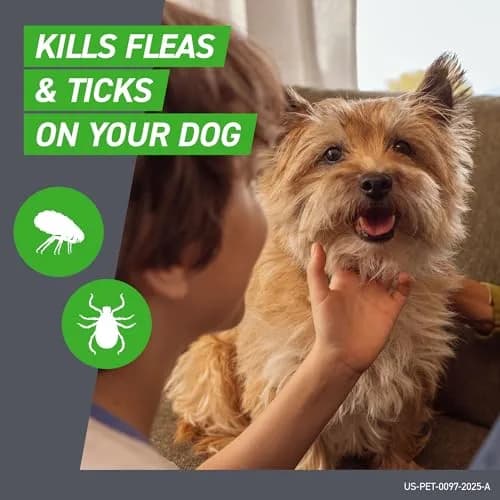 Frontline Flea & Tick Spot Treatment for Small Dogs 5-22 lbs. | Waterproof, Fast-Acting, 6 Doses thumbnail 2