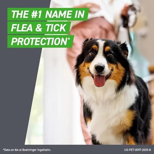 Frontline Flea & Tick Spot Treatment for Small Dogs 5-22 lbs. | Waterproof, Fast-Acting, 6 Doses thumbnail 3