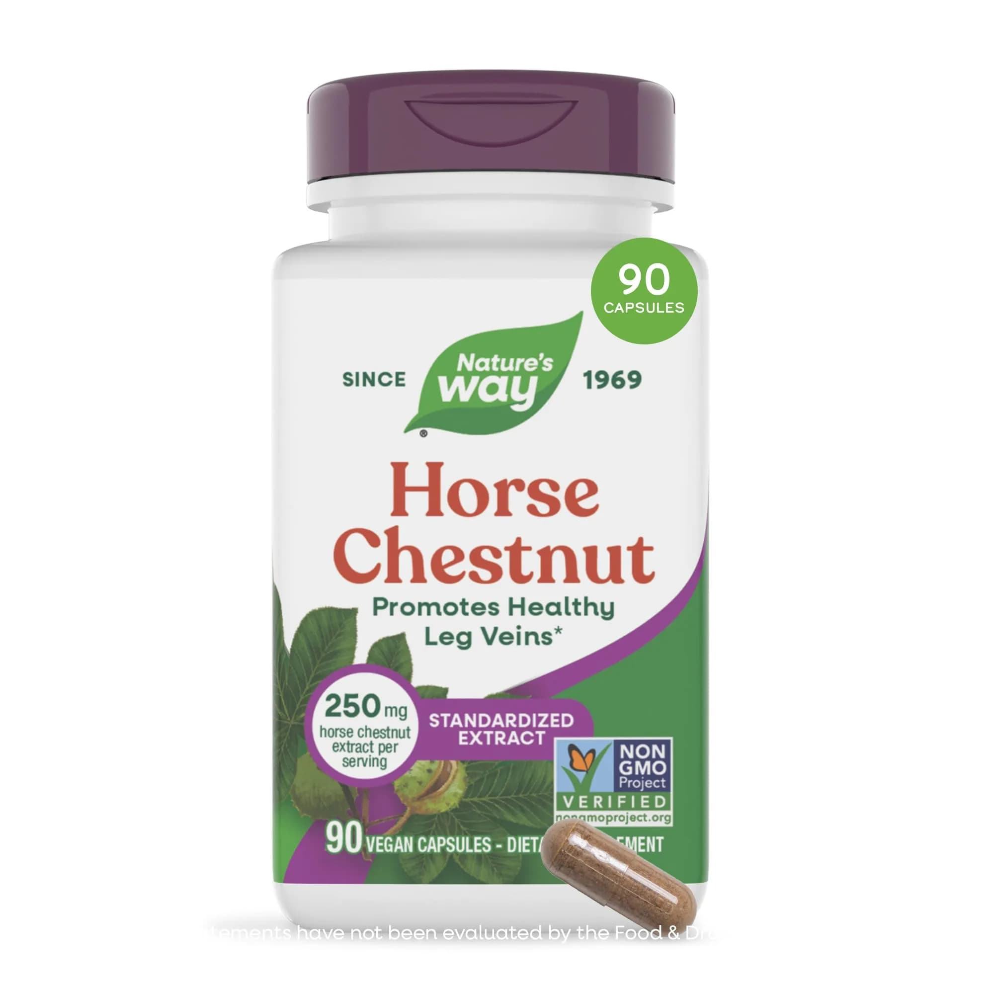Nature's Way Horse Chestnut Extract 90 Capsules | Supports Healthy Leg Veins & Circulation — Capsule