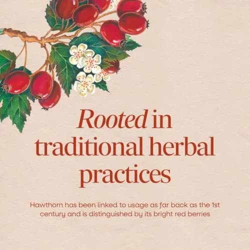 Nature's Way Hawthorn Berries 180 Count thumbnail 3