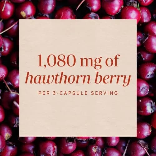 Nature's Way Hawthorn Berries 180 Count thumbnail 4