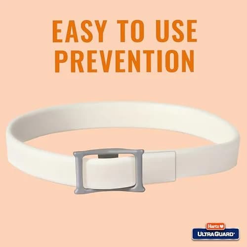 Hartz UltraGuard Flea & Tick Collar for Dogs and Puppies, Up to 26 Inch Neck | 7-Month Protection thumbnail 4