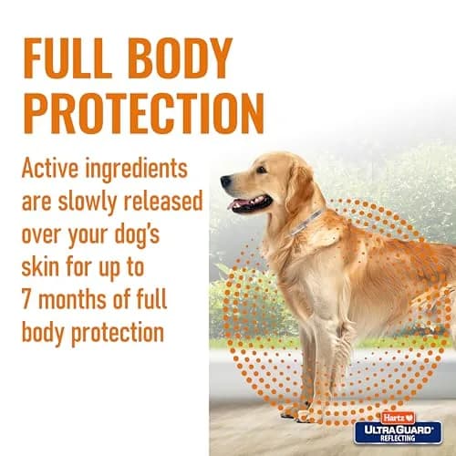 Hartz UltraGuard Flea & Tick Collar for Dogs and Puppies, Up to 26 Inch Neck | 7-Month Protection thumbnail 5