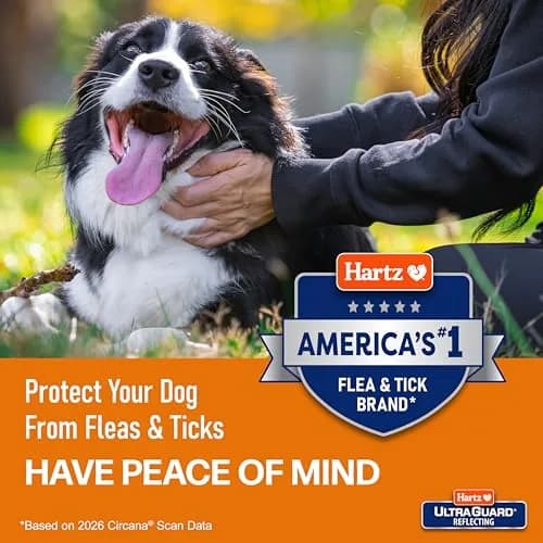 Hartz UltraGuard Flea & Tick Collar for Dogs and Puppies, Up to 26 Inch Neck | 7-Month Protection thumbnail 6