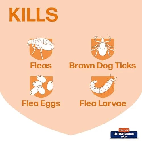 Hartz UltraGuard Plus Flea & Tick Home Spray 473ml (16 Fl Oz) | Kills Fleas, Ticks, Eggs & Larvae thumbnail 3