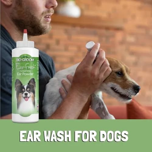 Bio-Groom Ear-Fresh Dog Grooming Ear Powder 85 g (2.99 oz) | Cruelty-Free Ear Care for Dogs & Cats thumbnail 3
