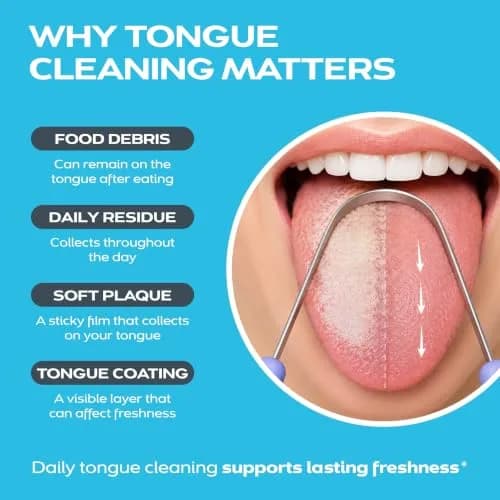 drTung's Stainless Steel Tongue Scraper with Comfort Grip Handle | 1 Count (Pack of 1) thumbnail 3