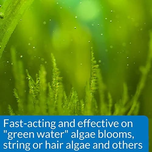 API ALGAEFIX Algae Control 237ml (8 Fl Oz) | Controls Green Water, Hair & String Algae thumbnail 3