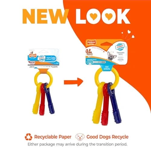 Nylabone Puppy Chew Teething Keys Dog Chew Toy, Bacon Flavor, X-Small | Soothes Gums, Cleans Teeth thumbnail 3