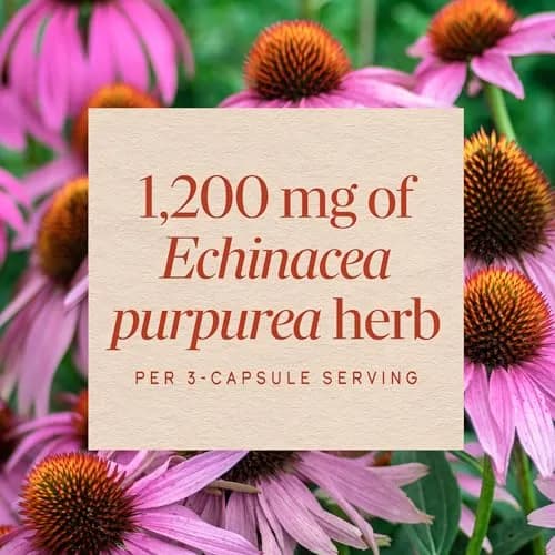 Nature's Way Echinacea Purpurea Herb Capsules 180ct | 1200 mg per Serving for Immune Support thumbnail 4