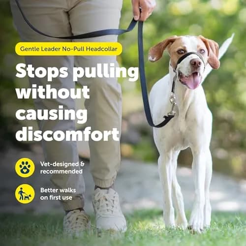 PetSafe Gentle Leader No Pull Dog Headcollar, Black, Medium | Veterinary-Designed Dog Training Aid thumbnail 2