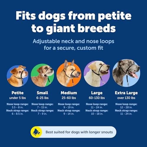 PetSafe Gentle Leader No Pull Dog Headcollar, Royal Blue, Large | Veterinary-Designed Dog Training Aid thumbnail 5