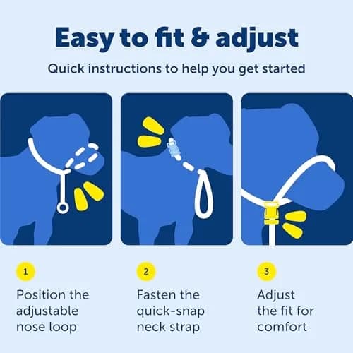 PetSafe Gentle Leader No Pull Dog Headcollar, Royal Blue, Large | Veterinary-Designed Dog Training Aid thumbnail 7