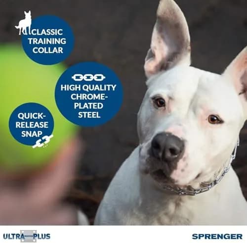 Herm Sprenger Chrome Plated Steel Training Prong Collar with Quick Release Snap for Dogs, 58cm (23in) x 3.2mm, Neck Size Up to 19 Inches thumbnail 9