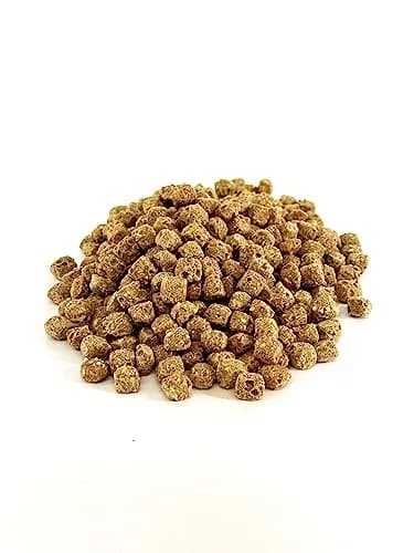 Harrison's Bird Foods Spicy Lifetime Coarse 2.27 kg (5 lb) | Certified Organic Non-GMO Parrot Food thumbnail 4