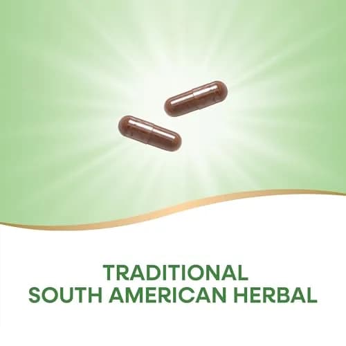 Nature's Way Pau d'Arco Inner Bark Herbal Supplement 180 Count | Traditional South American Herb thumbnail 3