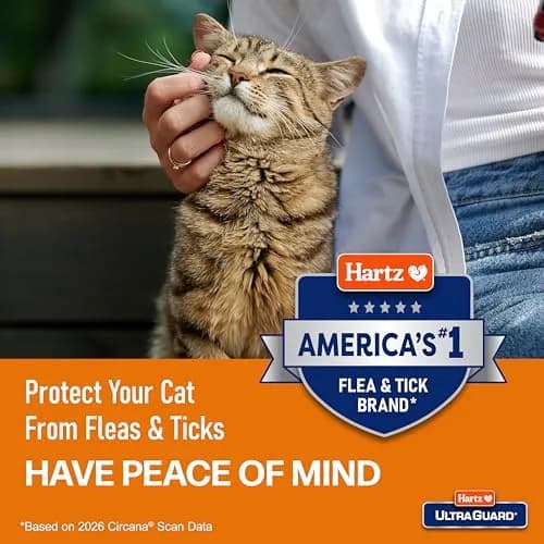 Hartz UltraGuard Flea & Tick Collar for Cats and Kittens, 7 Month Protection, White | Water-Resistant Breakaway Safety Release thumbnail 5