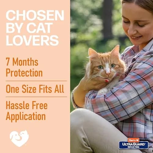 Hartz UltraGuard Flea & Tick Collar for Cats and Kittens, 7 Month Protection, White | Water-Resistant Breakaway Safety Release thumbnail 6