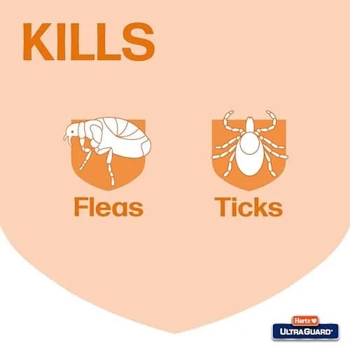 Hartz UltraGuard Flea & Tick Collar for Cats and Kittens, 7 Month Protection, White | Water-Resistant Breakaway Safety Release thumbnail 2