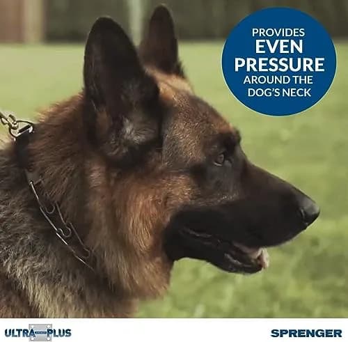 Herm Sprenger Chrome Plated Steel Training Prong Collar with Quick Release Snap for Dogs, 21-22 in (55cm) x 3mm, Neck Size UP to 18 inches thumbnail 4