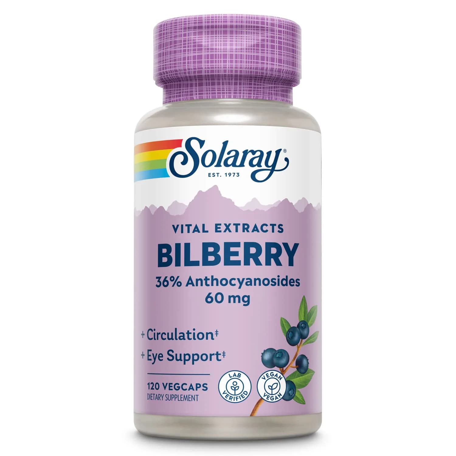 SOLARAY Bilberry Berry Extract 60 mg | Vision & Circulatory Support, Vegan, 120 VegCaps — Capsule