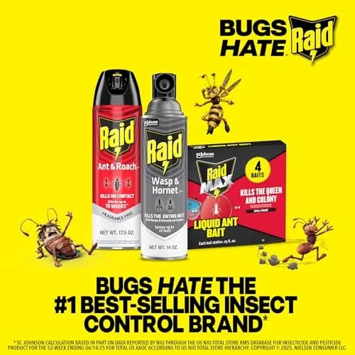 Raid Ant & Roach Killer Fragrance Free 17.5oz (496ml) | Kills Bugs on Contact thumbnail 9