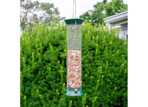 Lyric Woodpecker Wild Bird Seed Mix 2.27 kg (5 lb) | No-Waste Fruit & Nut Blend for All Wild Birds thumbnail 7
