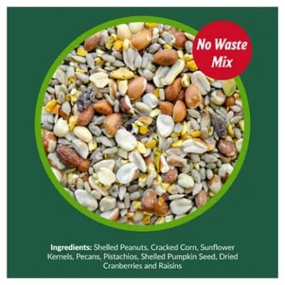 Lyric Woodpecker Wild Bird Seed Mix 2.27 kg (5 lb) | No-Waste Fruit & Nut Blend for All Wild Birds thumbnail 8