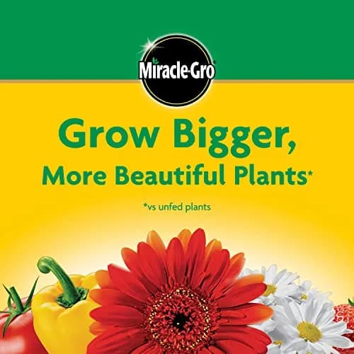 Miracle-Gro Water Soluble All Purpose Plant Food 3 lb. (1.36 kg) | Feeds All Plants Instantly thumbnail 7