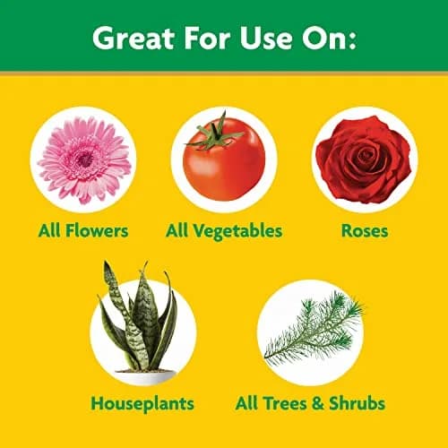 Miracle-Gro Water Soluble All Purpose Plant Food 3 lb. (1.36 kg) | Feeds All Plants Instantly thumbnail 4